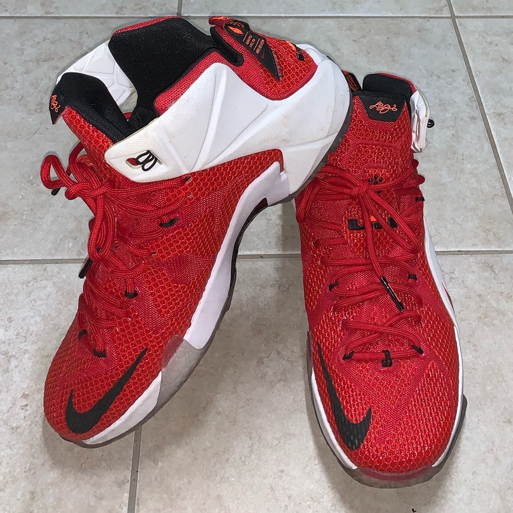 Nike Lebron 12 "Heart Of A Lion" Size 10 View 5